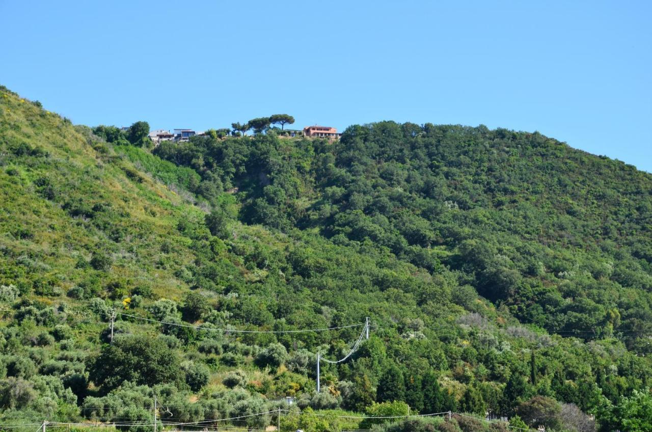Penthouse Mare E Monti Apartment Tropea Exterior foto